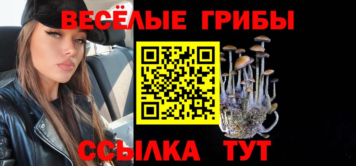 Псилоцибиновые грибы прущие грибы Апрелевка