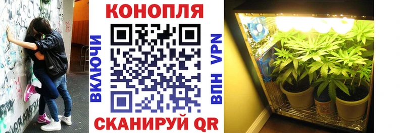 Конопля LSD WEED  купить наркотики сайты  Апрелевка 